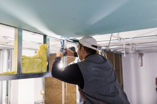 Best Insulation Inspection Services  in Mustang Ridge, TX
