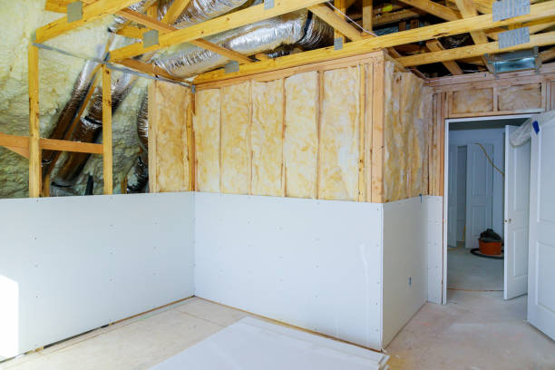 Best Insulation Contractor Near Me  in Mustang Ridge, TX