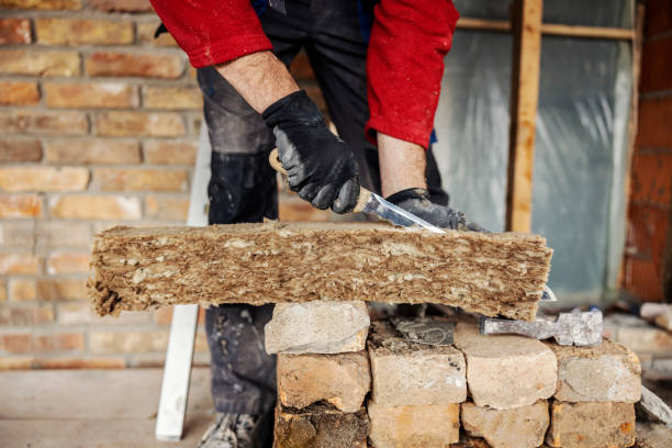 Best Insulation Replacement Services  in Mustang Ridge, TX